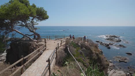 Blue-mediterranean-tree-beach,-viewpoint-views