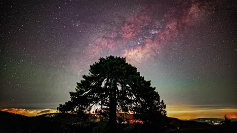 timelapse captures silhouetted tree as night stars drift across the sky, city lights creating a mesmerizing glow backdrop from an observing point