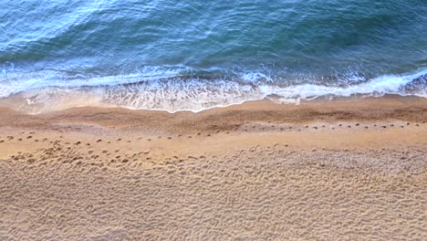 vista de las olas del mar en la playa. arena amarilla y agua azul.