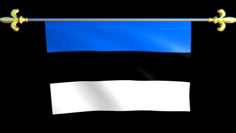 large looping animated flag of estonia