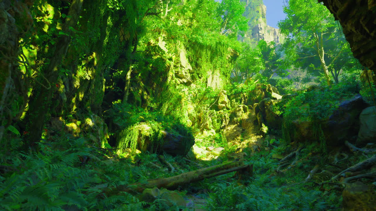 Vibrant forest glade with sunlight streaming through lush foliage