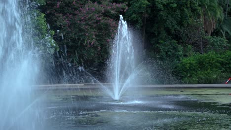 Aufnahme-Eines-Springbrunnens-In-Einem-Park-In-Brisbane