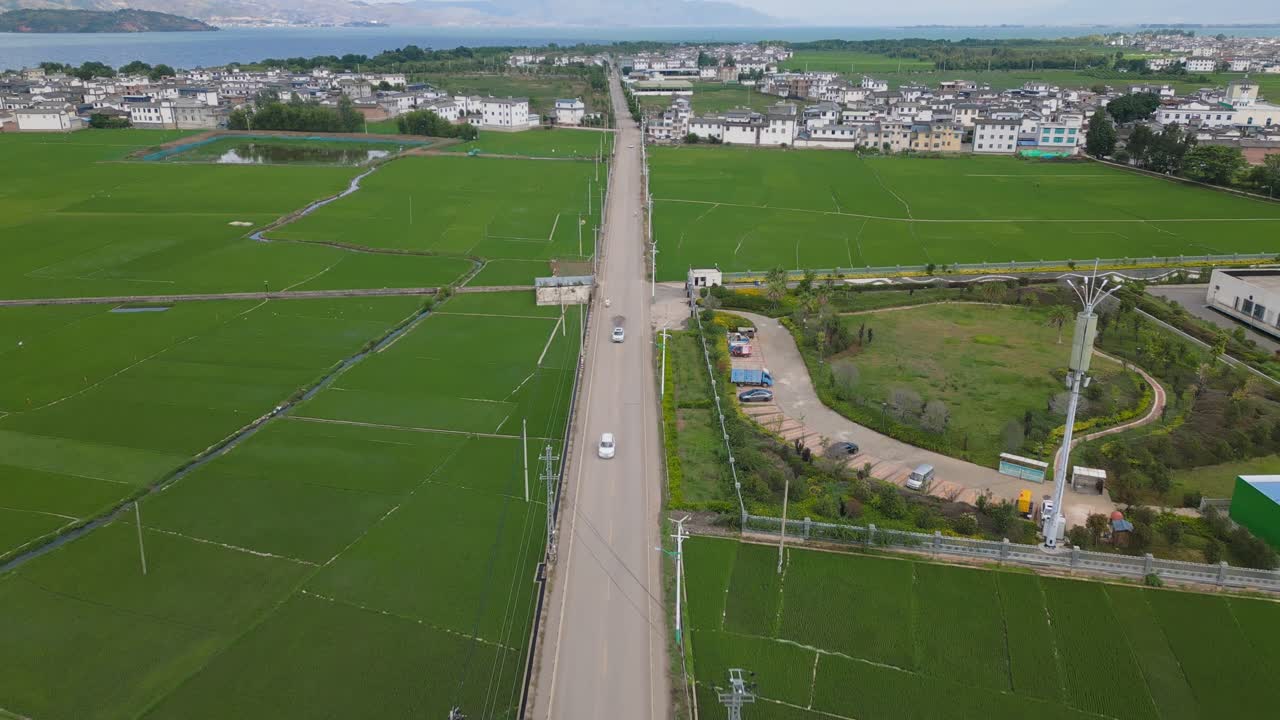 las imágenes del dron siguen a algunos coches que viajan a lo largo de una pequeña franja de carretera rodeada por los extensos campos de cultivo en dali, yunnan, china