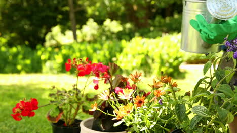 little boy watering flowers