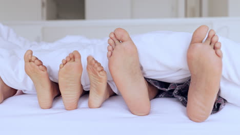 family, bed and feet together in sheet