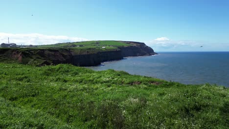 Dramatic-low-flying-reveal-over-cliffside-drop-off-to-see-ocean-water-below-and-textured-high-tall-cliffs-at-north-yorkshire-seaside-with-birds-flying-around-and-waves-crashing-on-sunny-day-in-spring