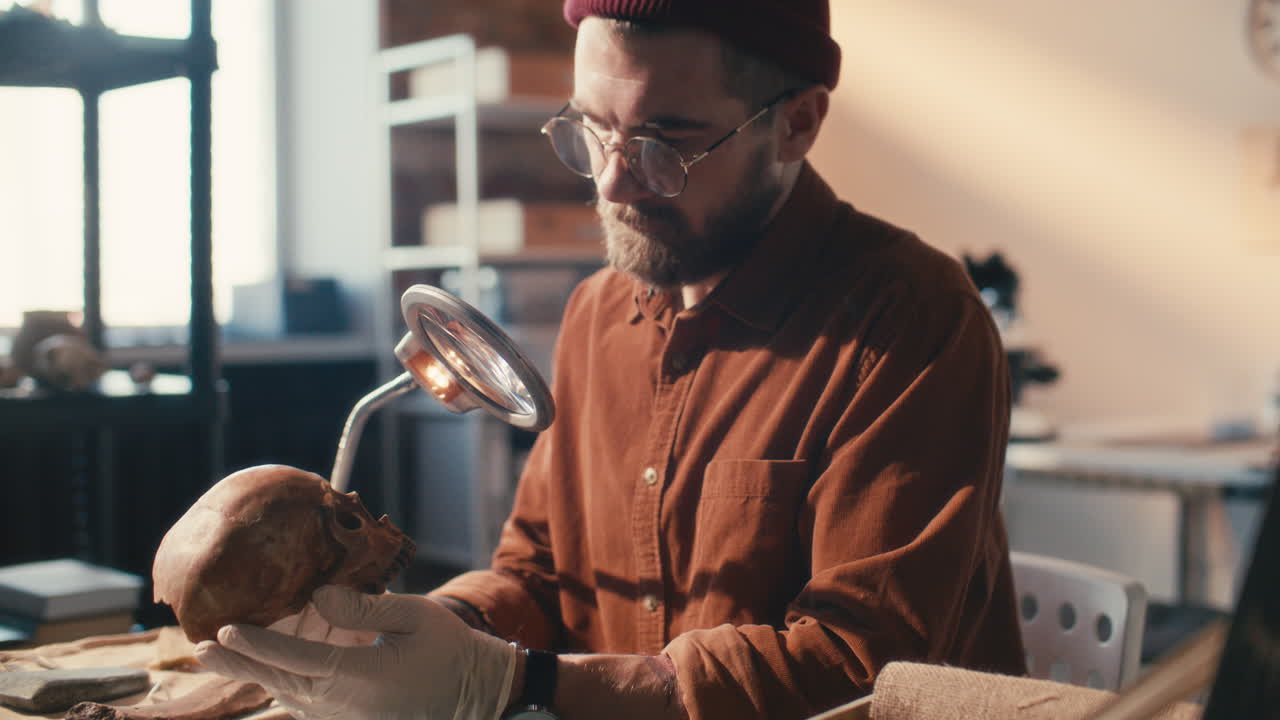 arqueólogo con guantes examinando un cráneo antiguo durante la investigación en el laboratorio