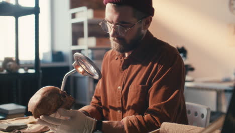 archaeologist in gloves examining ancient skull during research in laboratory