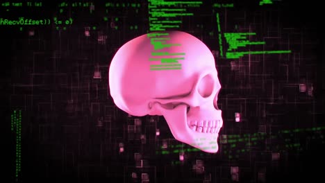 Pink-skull-and-codes