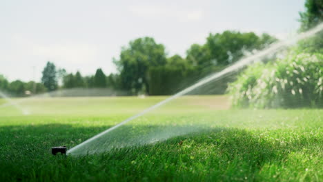 close up on sprinkler watering a green lawn during the day