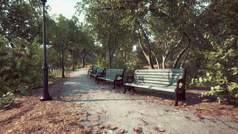 parque cerrado vacío como prevención de la enfermedad de coronavirus covid-19