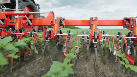 tractor plow removes weeds from sunflower sprouts steadicam shot