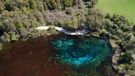 turistas en la plataforma de observación en los manantiales de te waikoropupu
