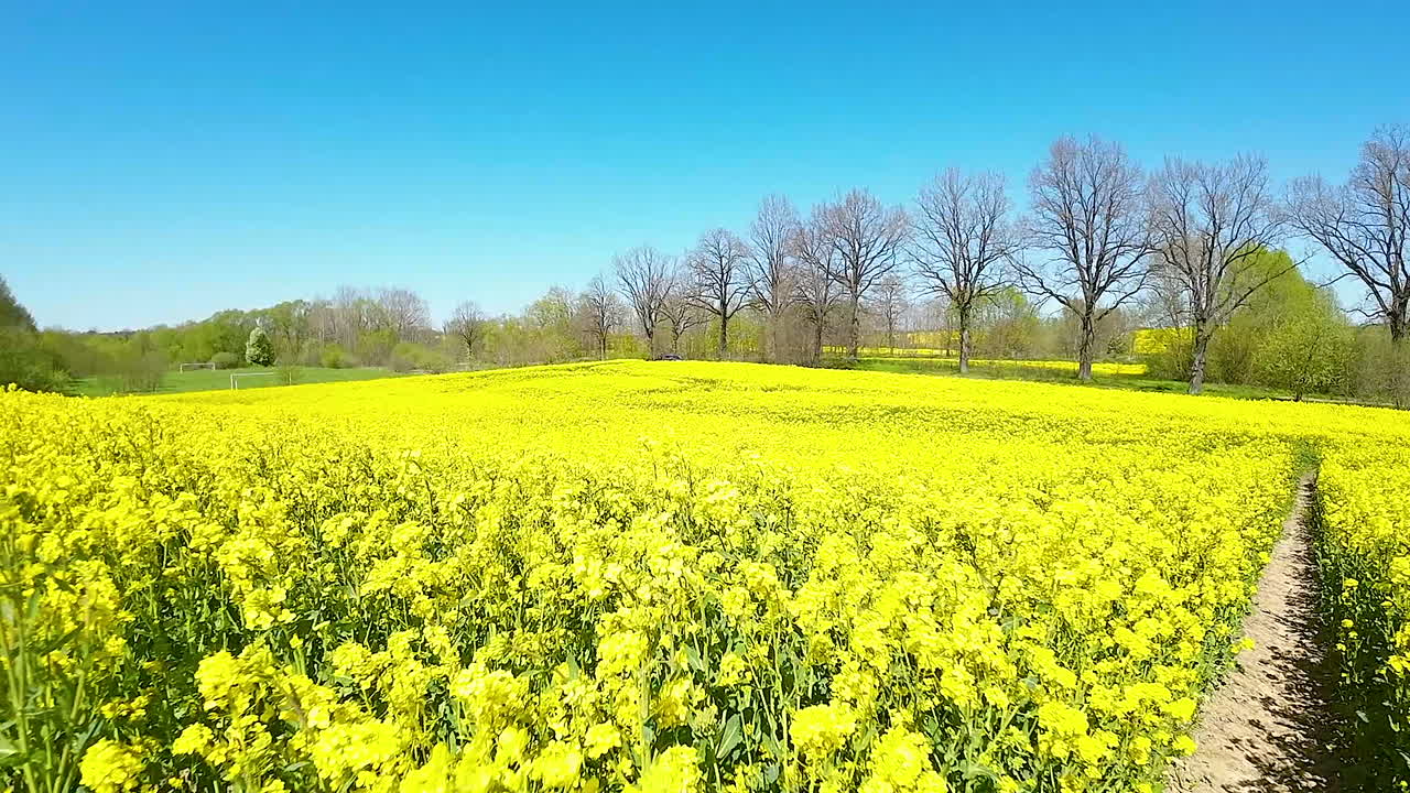 노란색 라피스 씨  을 가로질러 천천히 날아다니는 드론