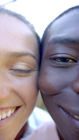 vertical video: diverse couple smiling close to camera, caucasian woman and african american man