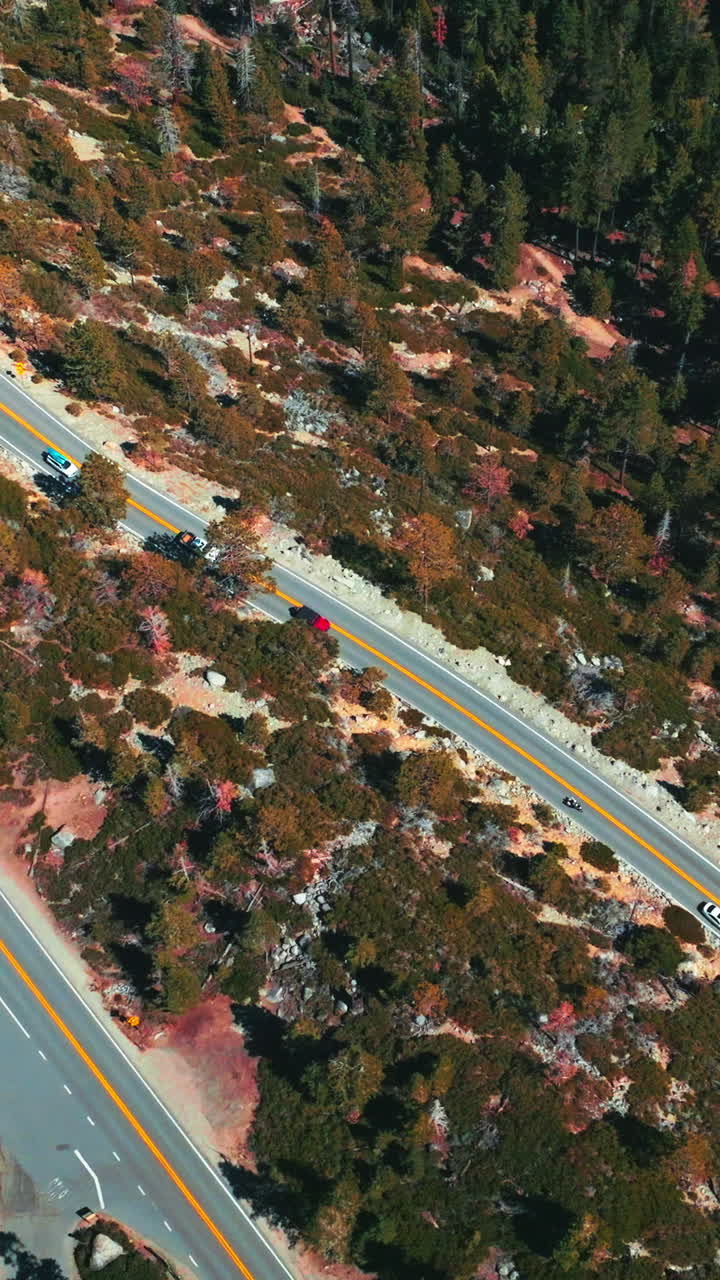 Automobiles slowly moving by the wavy road through the forest. Sunny day footage over the highway at lake Tahoe shore. Vertical video
