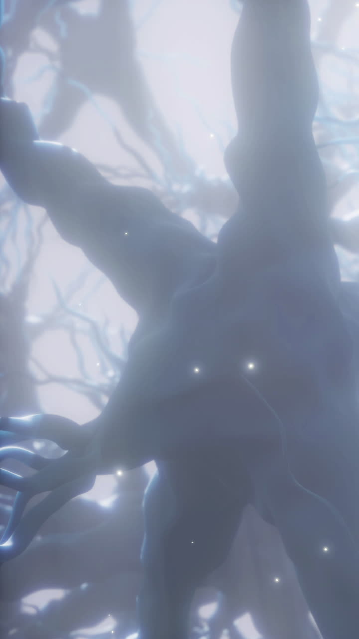 Luce intensa filtra tra i rami in una scena forestale nelle prime ore del mattino.