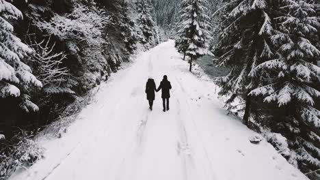 tourists rest in the winter forest they walk enjoying the beautiful mountain views tourists rest in the winter forest they walk enjoying the beautiful mountain views happy couple in love traveling in winter aerial view