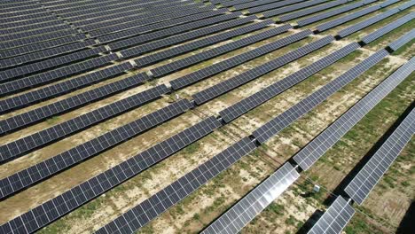 Un-Campo-De-Paneles-Solares-En-Wisconsin-Absorbe-La-Energía-Del-Sol-Y-La-Convierte-En-Electricidad.