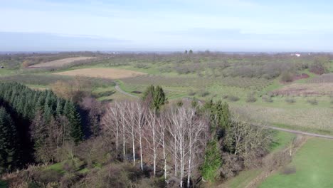 Antena-De-Paisaje-Pintoresco-Con-Bosques,-Colinas-Y-Manzanos,-Nesselried,-Baden-Wuerttemberg