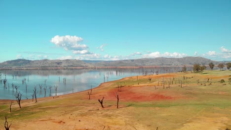 Aerial-view-over-dead-trees-and-dry-nature,-at-Lake-Hume,-sunny-day,-in-Victoria,-Australia---dolly,-drone-shot