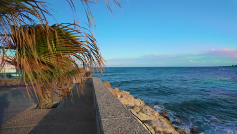 view along a sea wall with overhanging palm fronds against a backdrop of the deep blue sea and clear skies