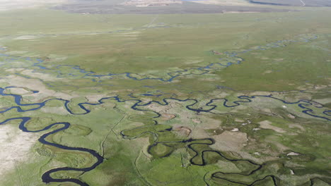 drone captures the intricate meandering of rivers through lush green fields, resembling winding worms from an elevated perspective on a sunny afternoon