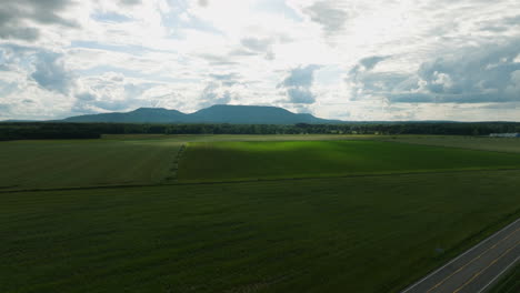 Amplia-Vista-Aérea-De-Exuberantes-Campos-Verdes-Cerca-De-Dardanelle,-Ar-Con-Montañas-En-La-Distancia,-Ambiente-Sereno