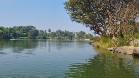 view over the tropical landscape and river at ranganathittu bird sanctuary, india. filmed on a hot sunny day from a moving passenger boat
