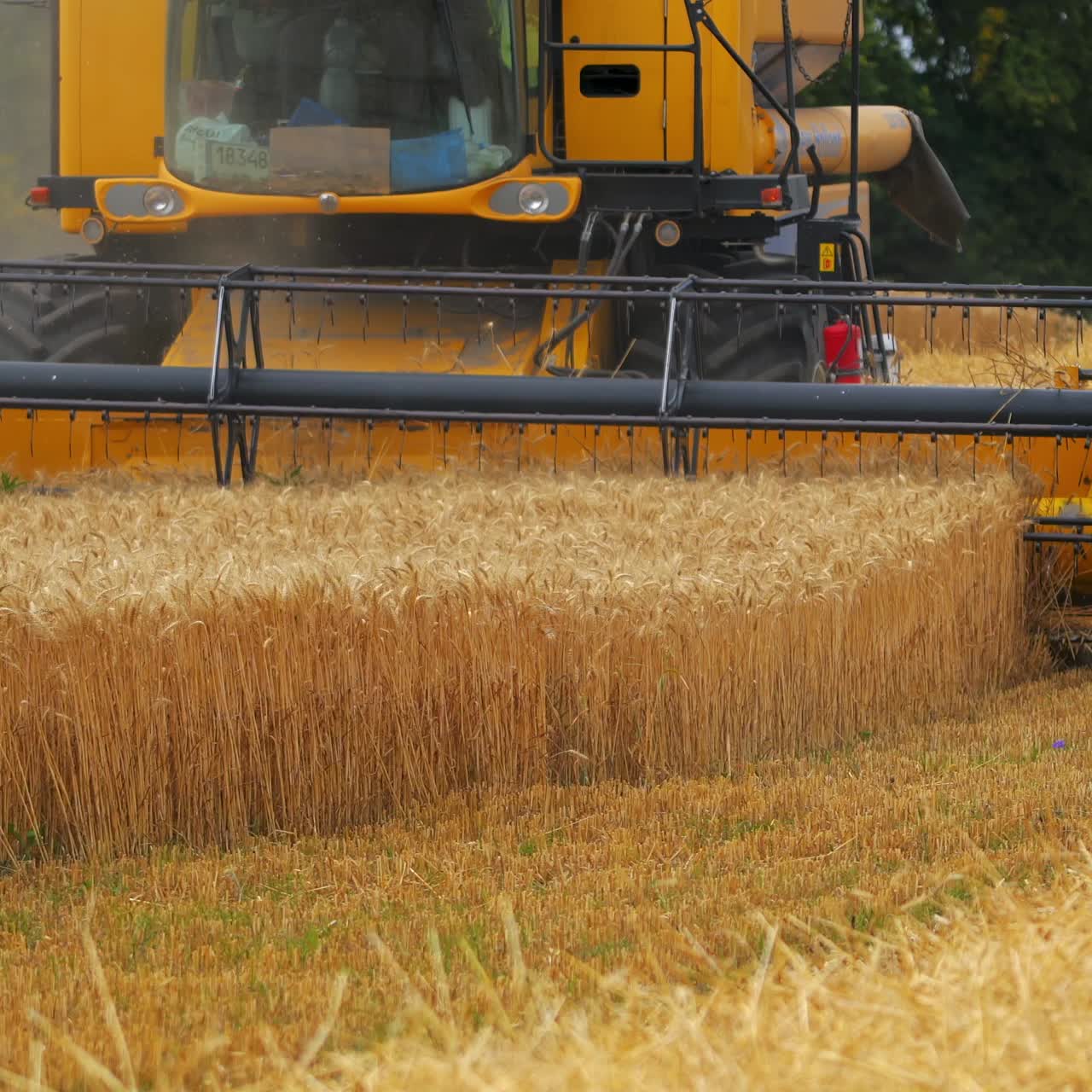 Process of gathering ripe crop from the fields. Combine harvester in action on wheat field. Selective focus