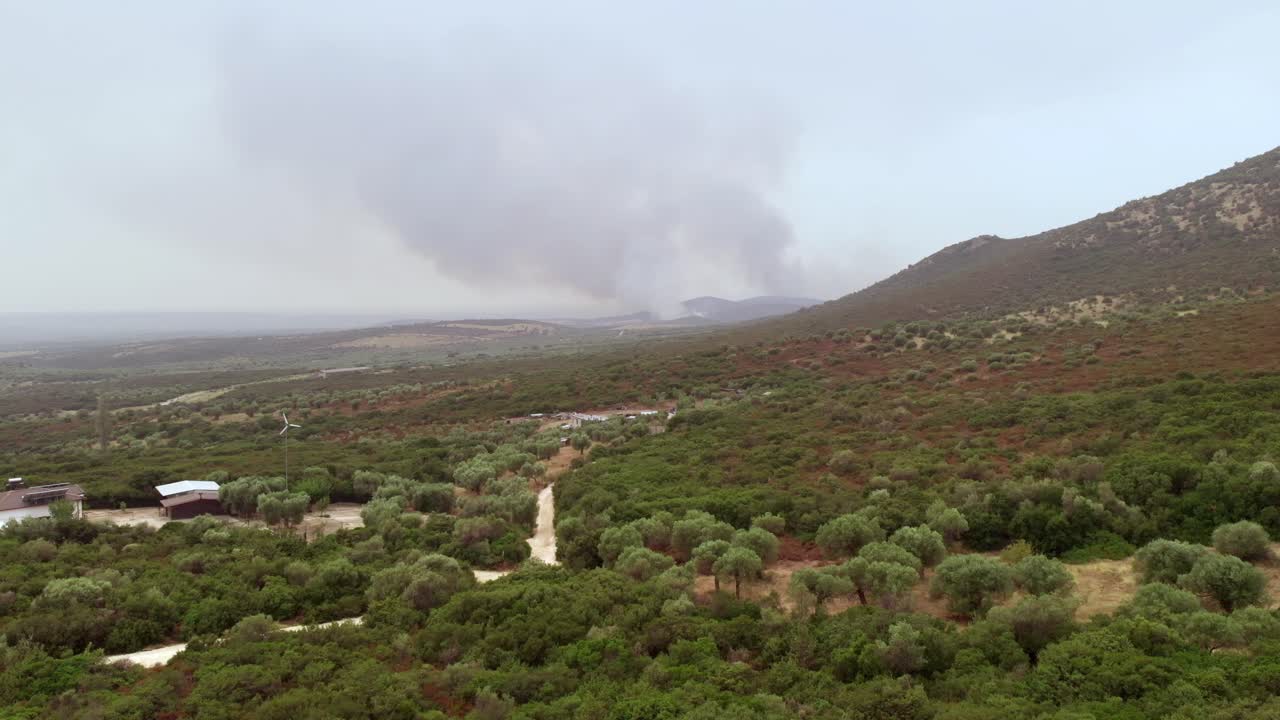 낮은 덤불 위의 무인 항공기 산불 불꽃 산불 덤불 불꽃 여름
