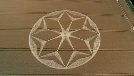 tichborne mysterious golden farmland geometric flower pattern crop circle aerial view left orbit top down