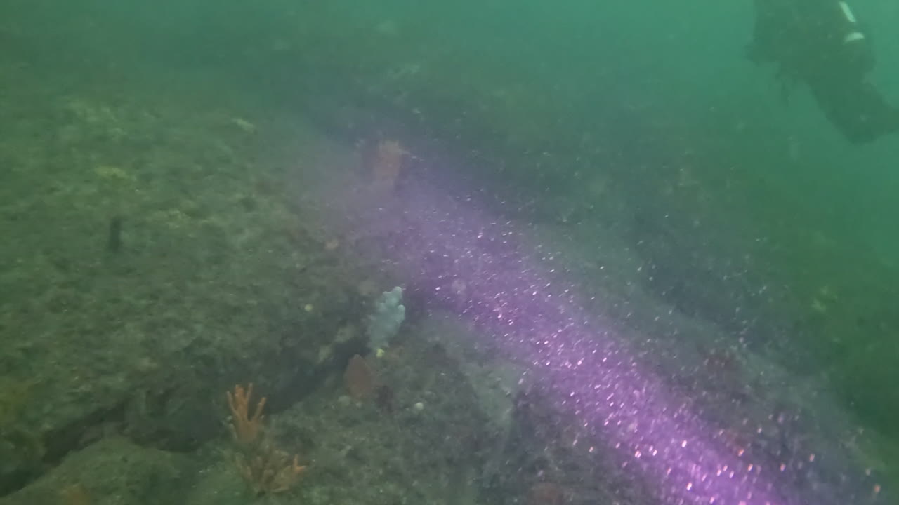 pov аквалангист светит фонариком под водой в поисках рыбы