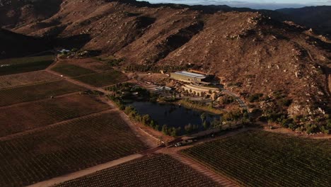 an aerial view of a vineyard in baja california, mexico