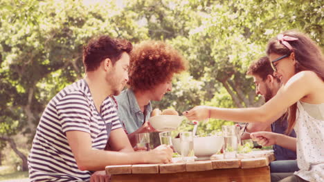 en cámara lenta amigos felices en el parque almorzando