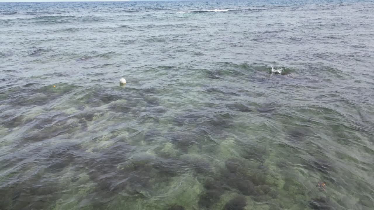 저공 비행은 바다의 수중 전망을 제공하고 파도가 부서지는 것을 보여주기 위해 패닝하여 수중 세계에 대한 통찰력을 제공합니다.