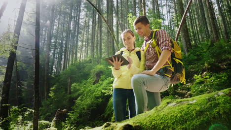 a couple of tourists with backpacks orient themselves in the forest use a tablet the beautiful rays