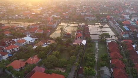 Afueras-De-Denpasar-Con-Edificios-Residenciales-Y-Campos-De-Arroz-Irrigados-En-El-Medio