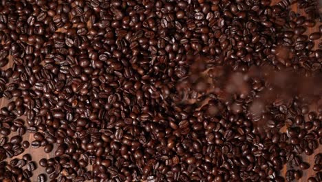 coffee beans falling from above, down view hd