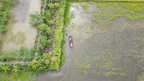 aerial overhead view of villager pushing boat over flooded paddy fields in rural bangladesh