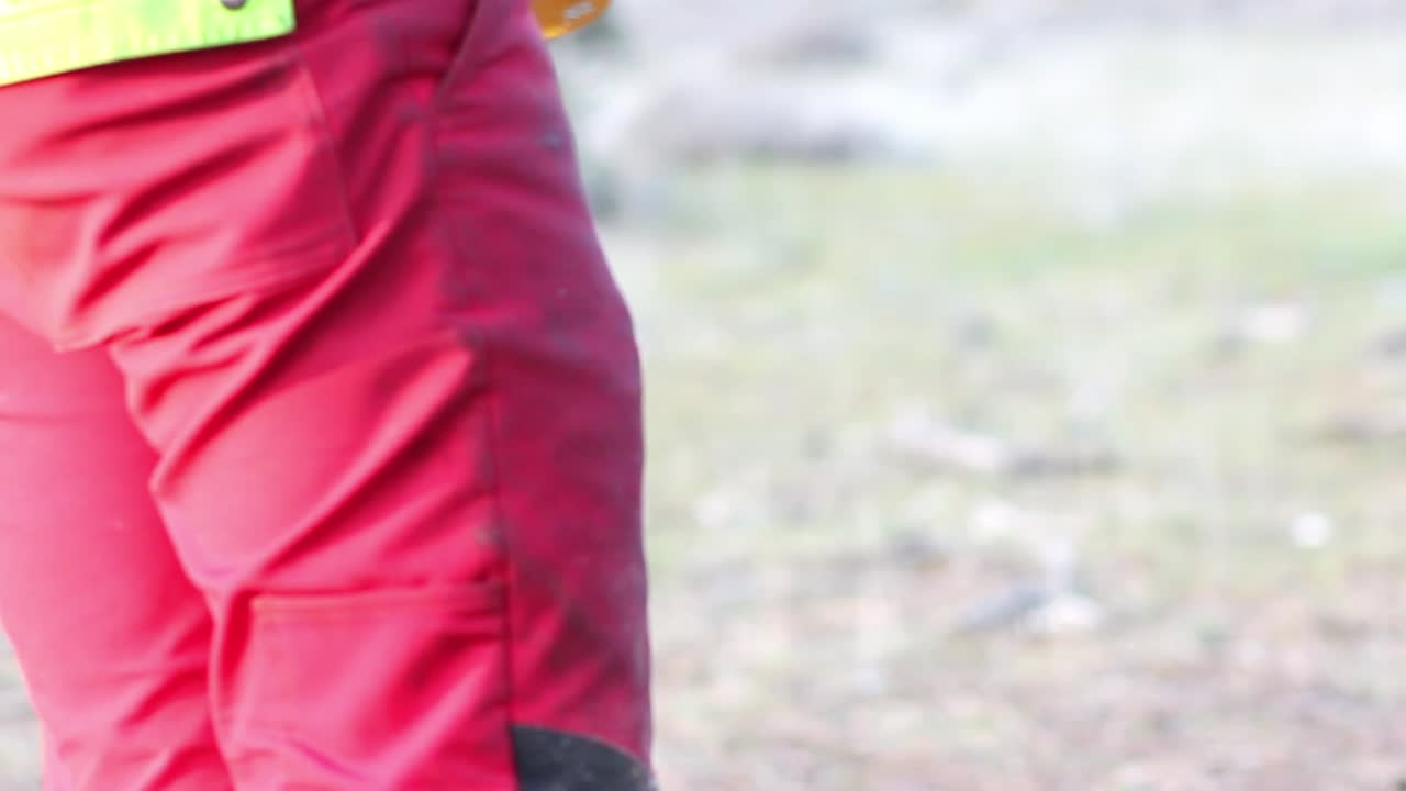 primer plano de mosquetón y cuerdas para podar árboles en el bosque