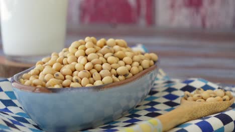 soja y leche de soja