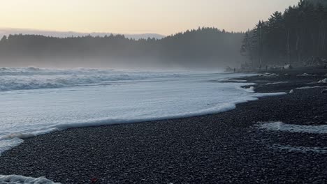 tilting up shot of the coastline of the famous ruby beach near forks, washington with small waves crashing and leaving sea foam behind, and large cliffs of pine trees and fog on a warm summer evening