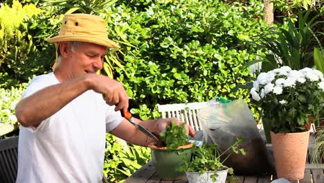 man potting plants in the garden