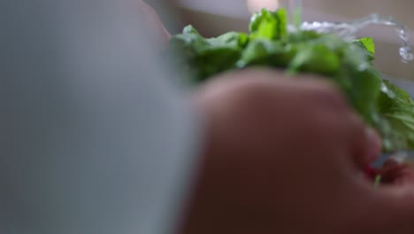 a person washes lettuce under a faucet