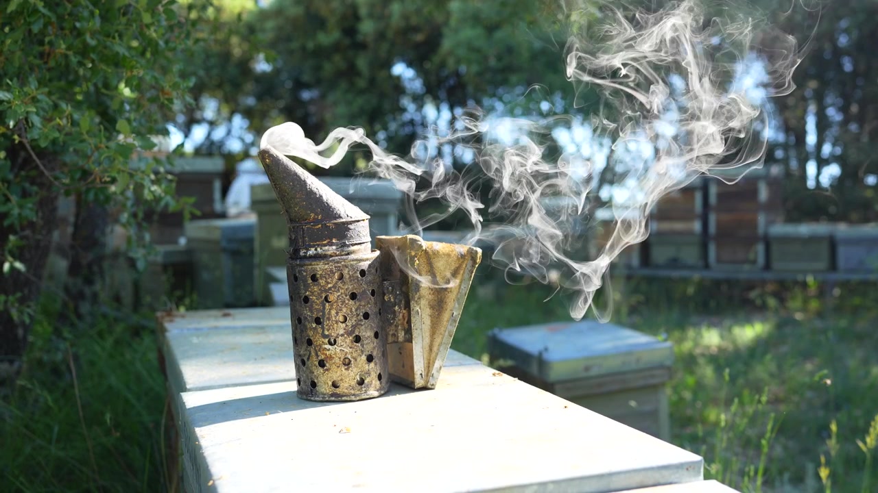 Enfumoir d'apiculture émettant de la fumée sur une ruche dans un rucher rural verdoyant avec des abeilles volant autour.