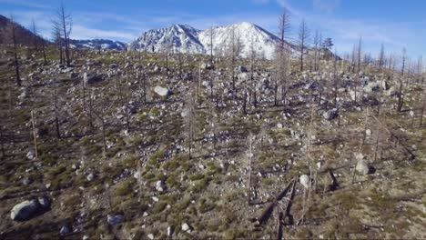 drone reveal shot flying over burned forest and revealing snow-capped mountains and lake near lake tahoe, ca