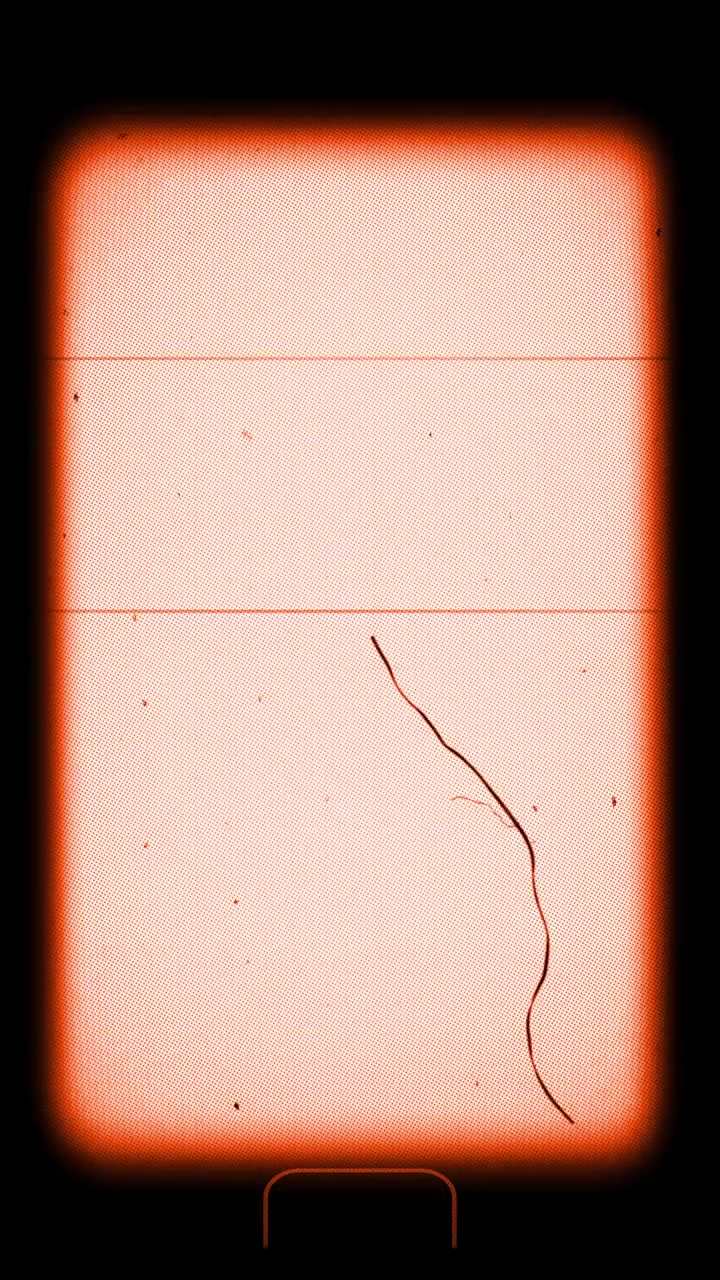 Effetto cornice pellicola vintage con polvere e graffi