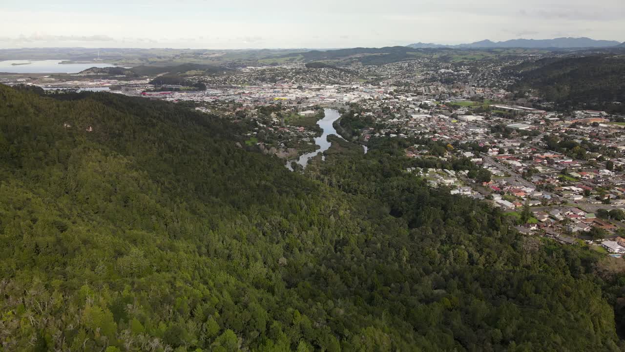 vista aérea de los densos parques naturales y el río hatea con edificios a orillas del río en whangarei, isla norte, nueva zelanda
