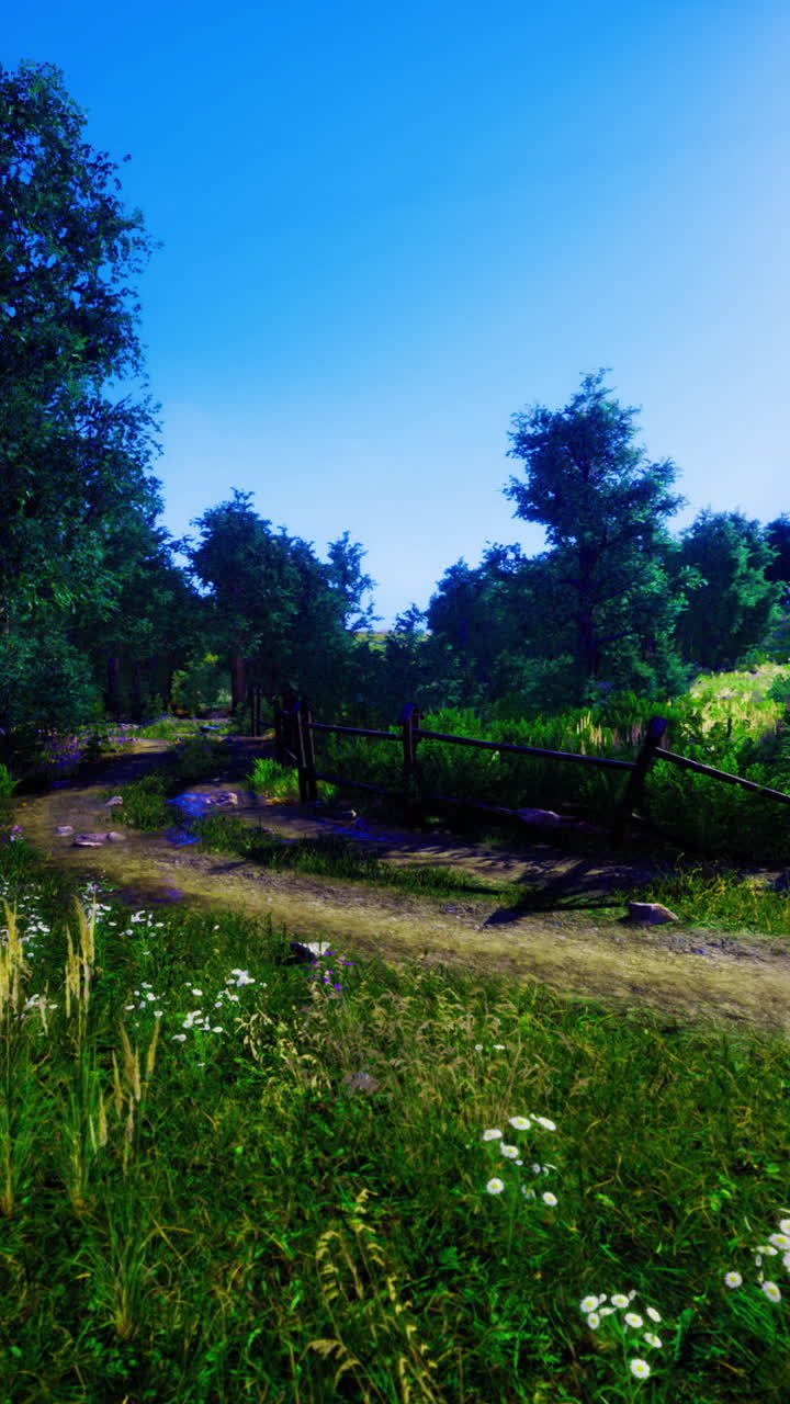 Exploring a tranquil forest path on a bright sunny day in natures embrace